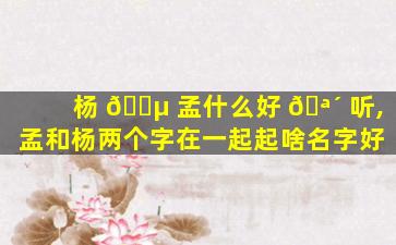 杨 🌵 孟什么好 🪴 听,孟和杨两个字在一起起啥名字好
